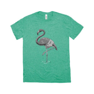Fringe Sport Triblend Flamingo Leg Day Shirt